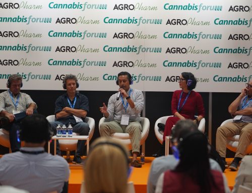 Cannabisforum 2026 analizará el nuevo marco regulatorio, los ensayos clínicos y la dispensación farmacéutica del cannabis medicinal